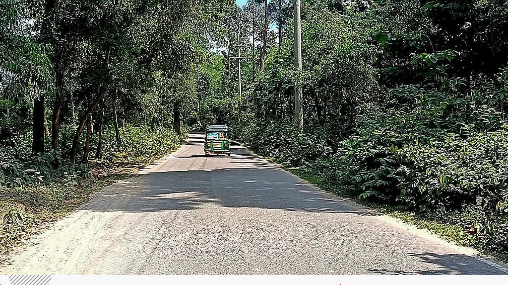 ঢাকার গুরুত্বপূর্ণ সড়কে ভয়াবহ অবকাঠামোগত দুর্বলতা: দিনেও চলাচলে ভয়ভীতি