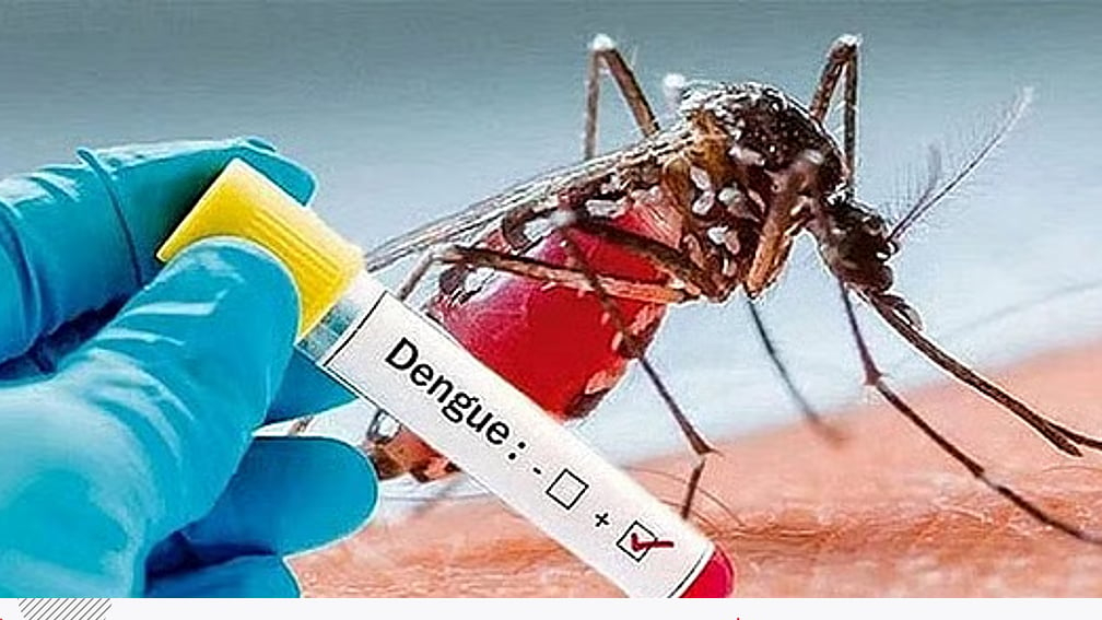 ডেঙ্গু মহামারিতে মৃত্যু ৪০০ পার, স্বাস্থ্য ব্যবস্থায় সংকট